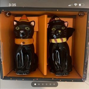 Black Cat Halloween Salt & Pepper Shakers.